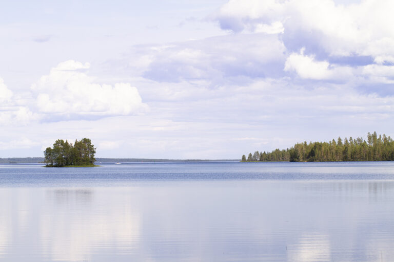 Kutsu yleiskokoukseen 2025